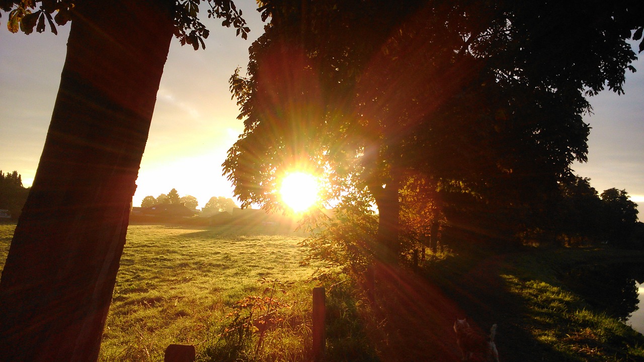 autumn sunrise morning free photo