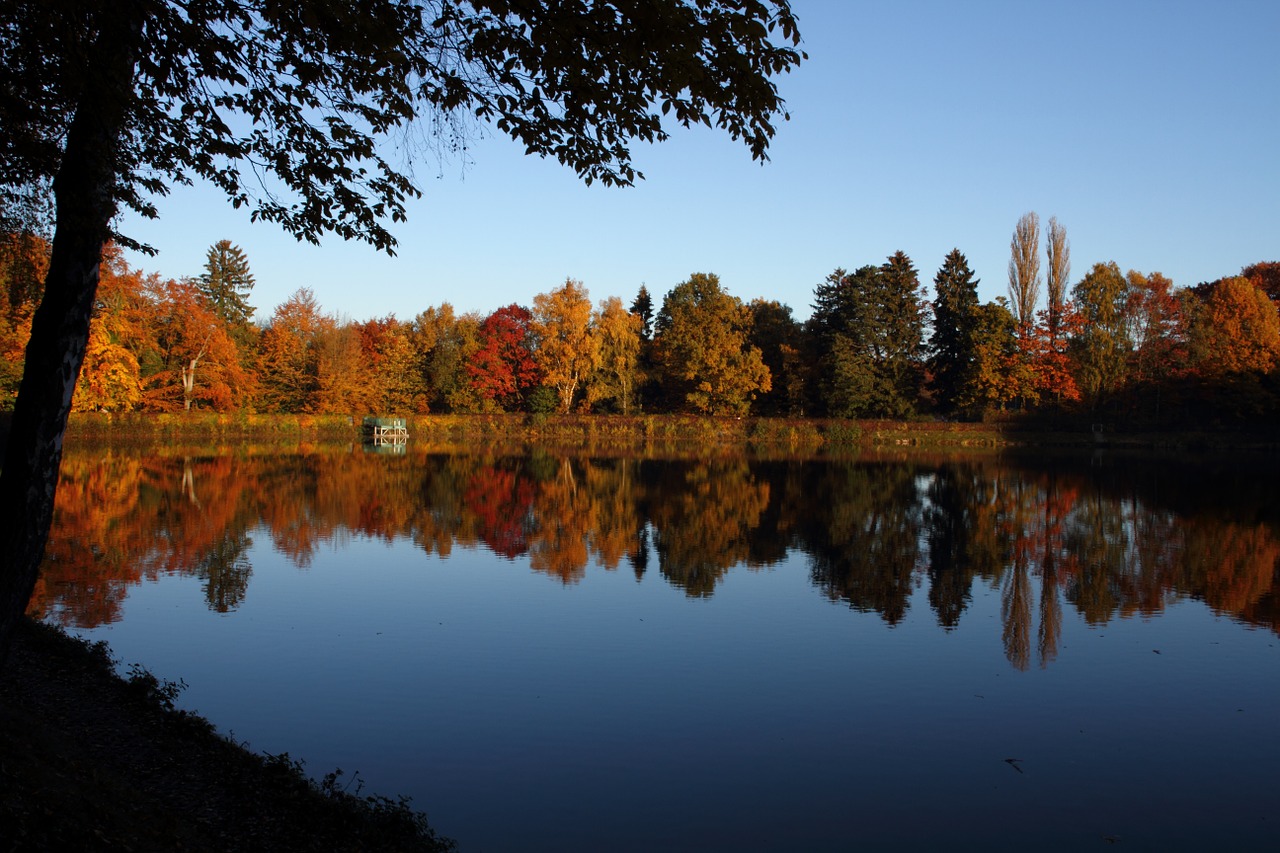 autumn trees lake free photo