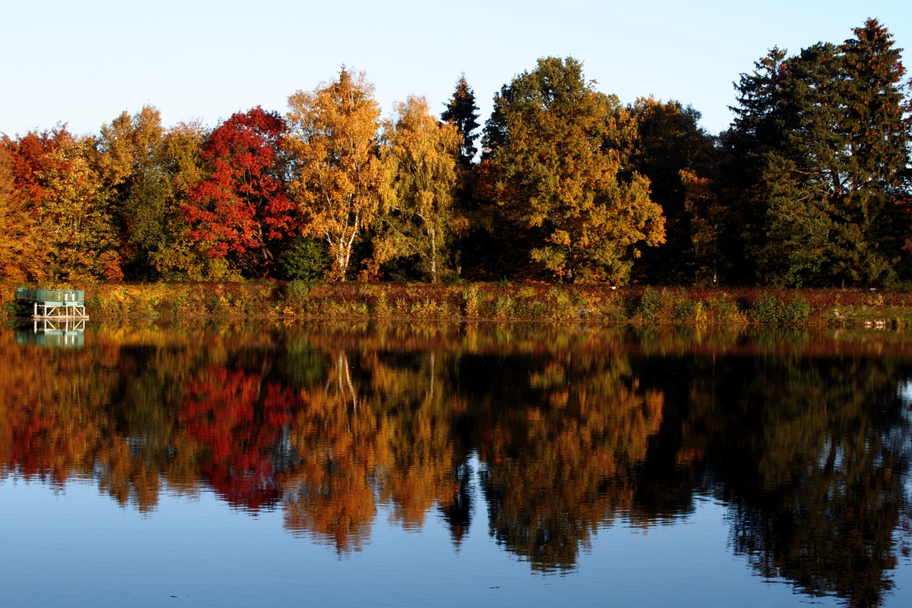 autumn trees mirroring free photo