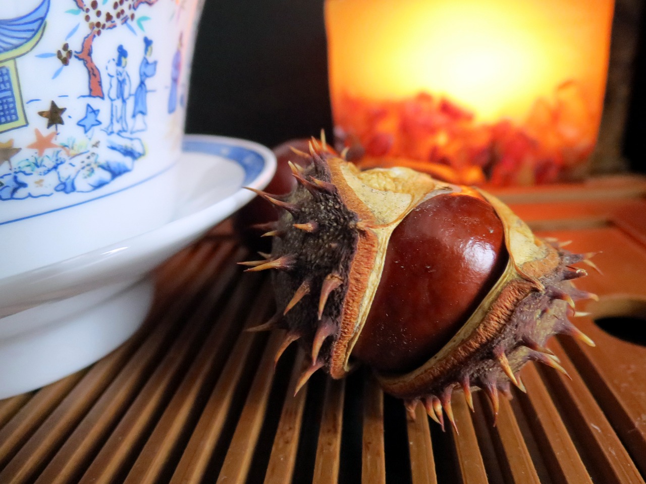 autumn chestnut candle free photo