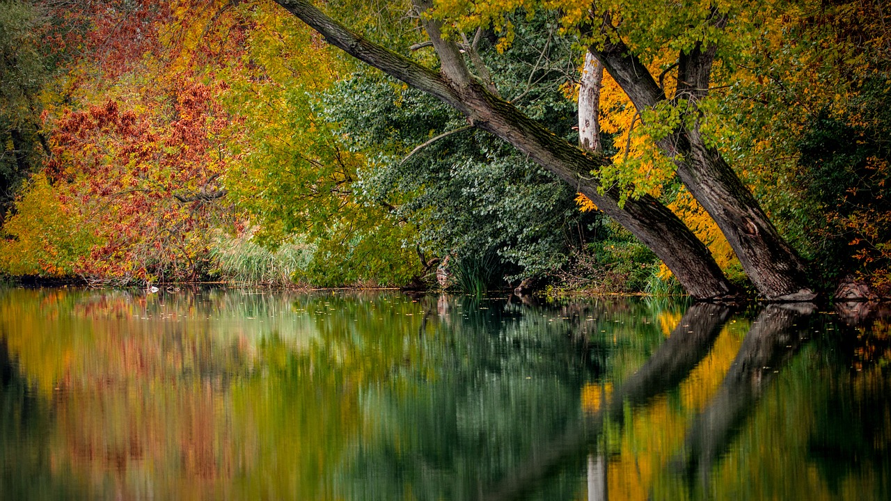 autumn colors colored free photo