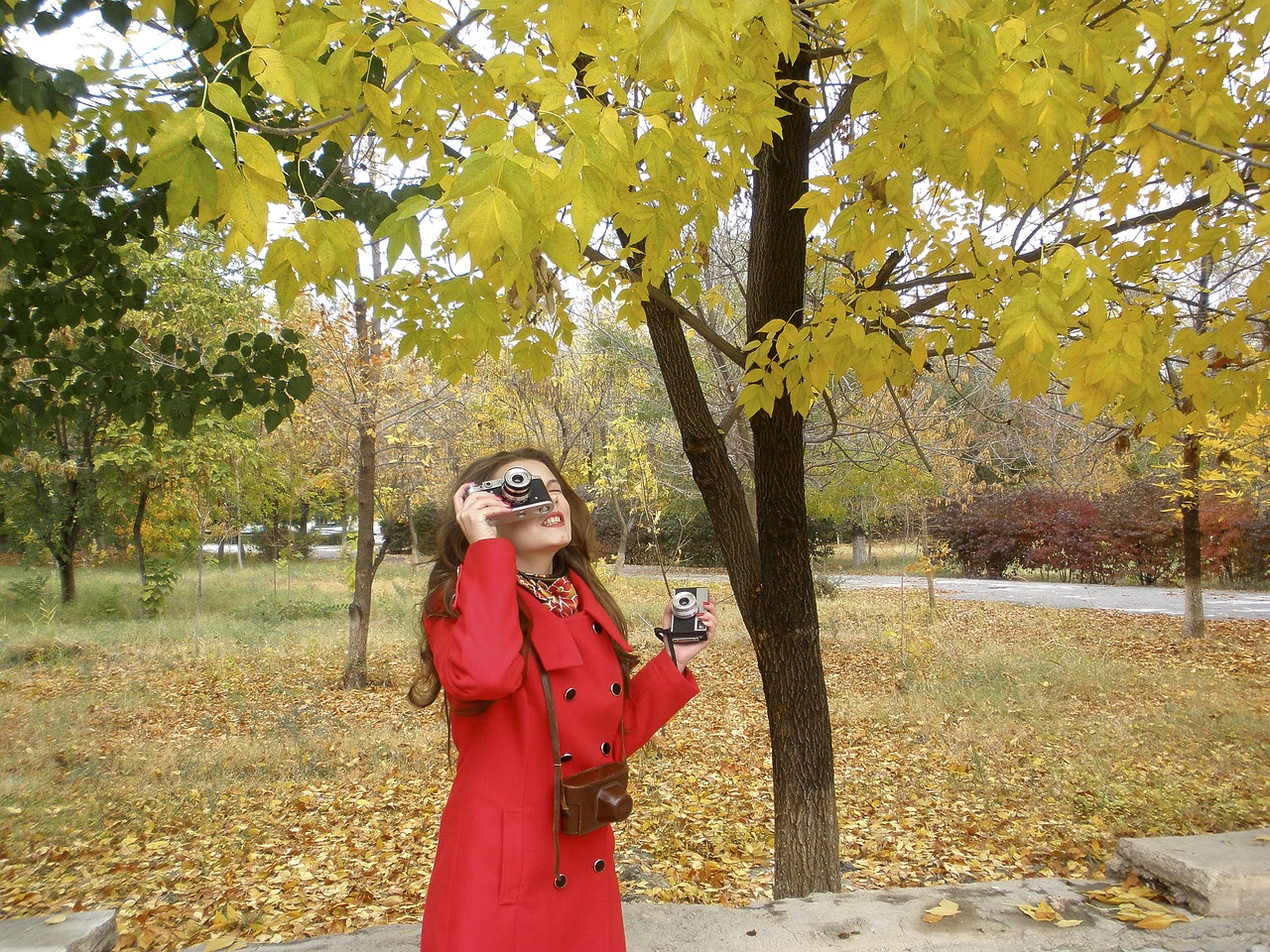 autumn yellow leaves girl free photo