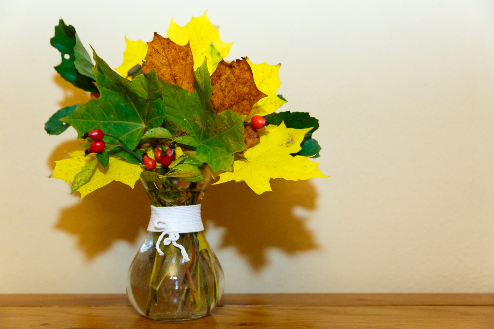 arrangement autumn colorful free photo