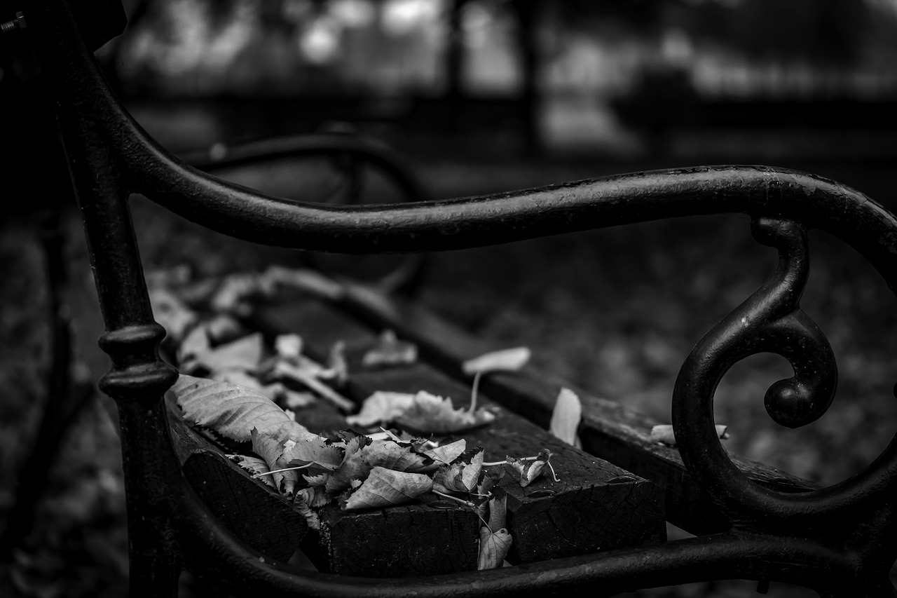 autumn bench bench autumn free photo