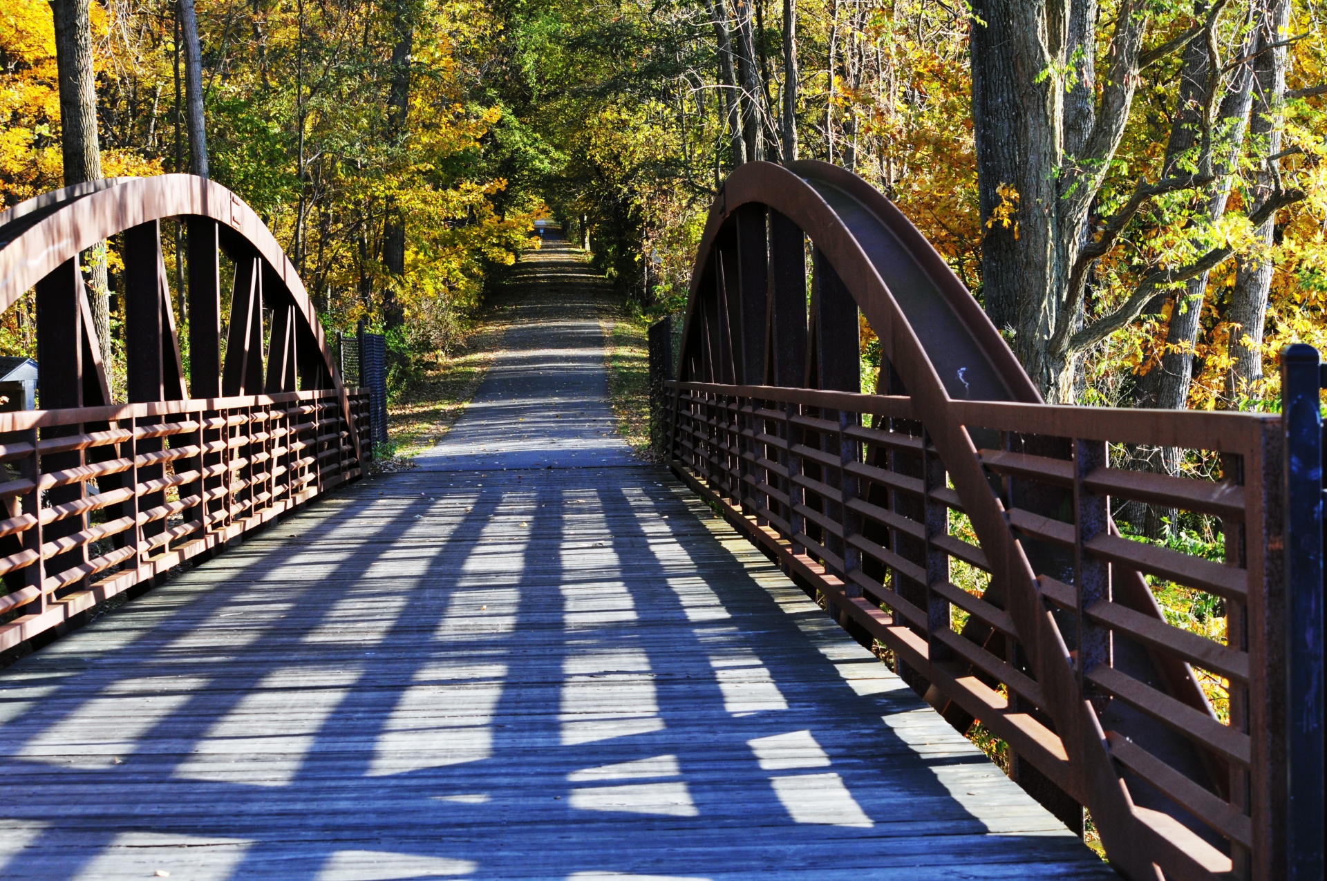 bridge bridges autumn free photo