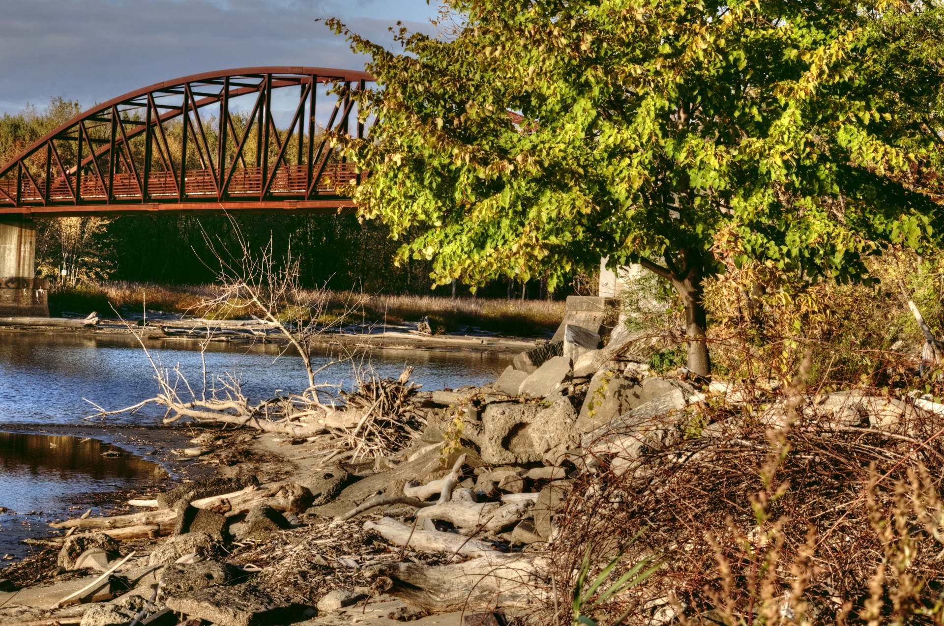 autumn fall foliage free photo