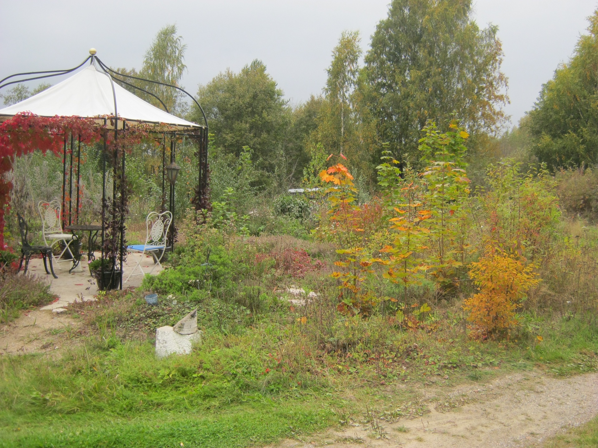 autumn pavilion autumn colors free photo