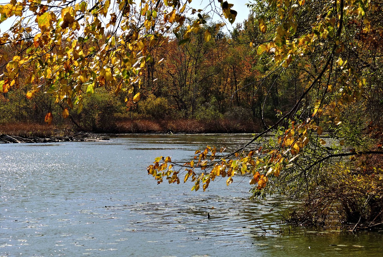 autumn colors inland lake woods free photo