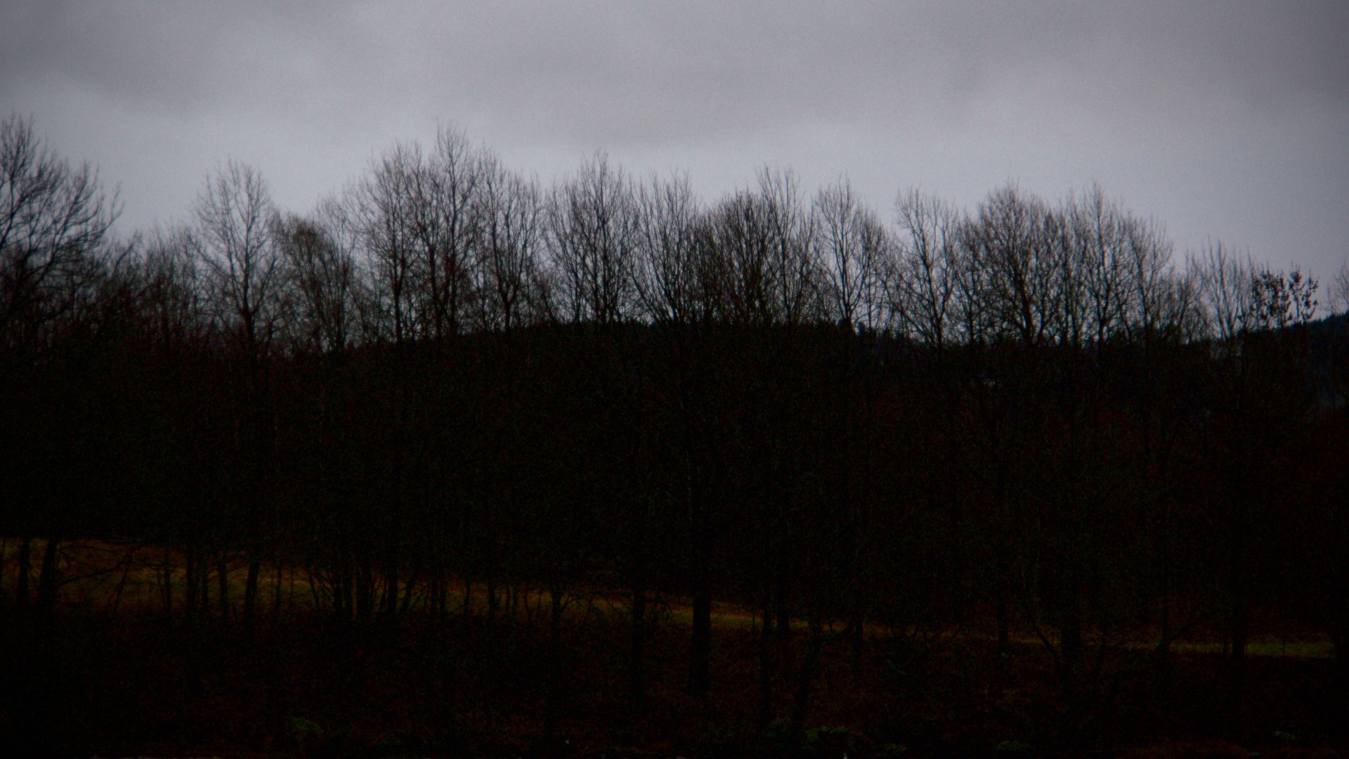 dark darkness evening free photo