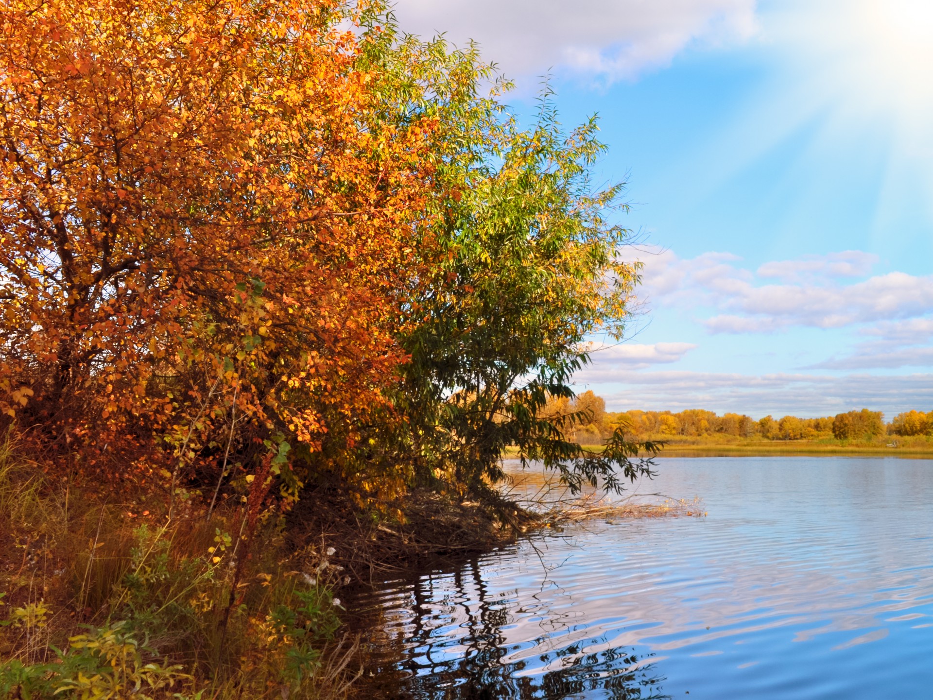 nature landscape river free photo