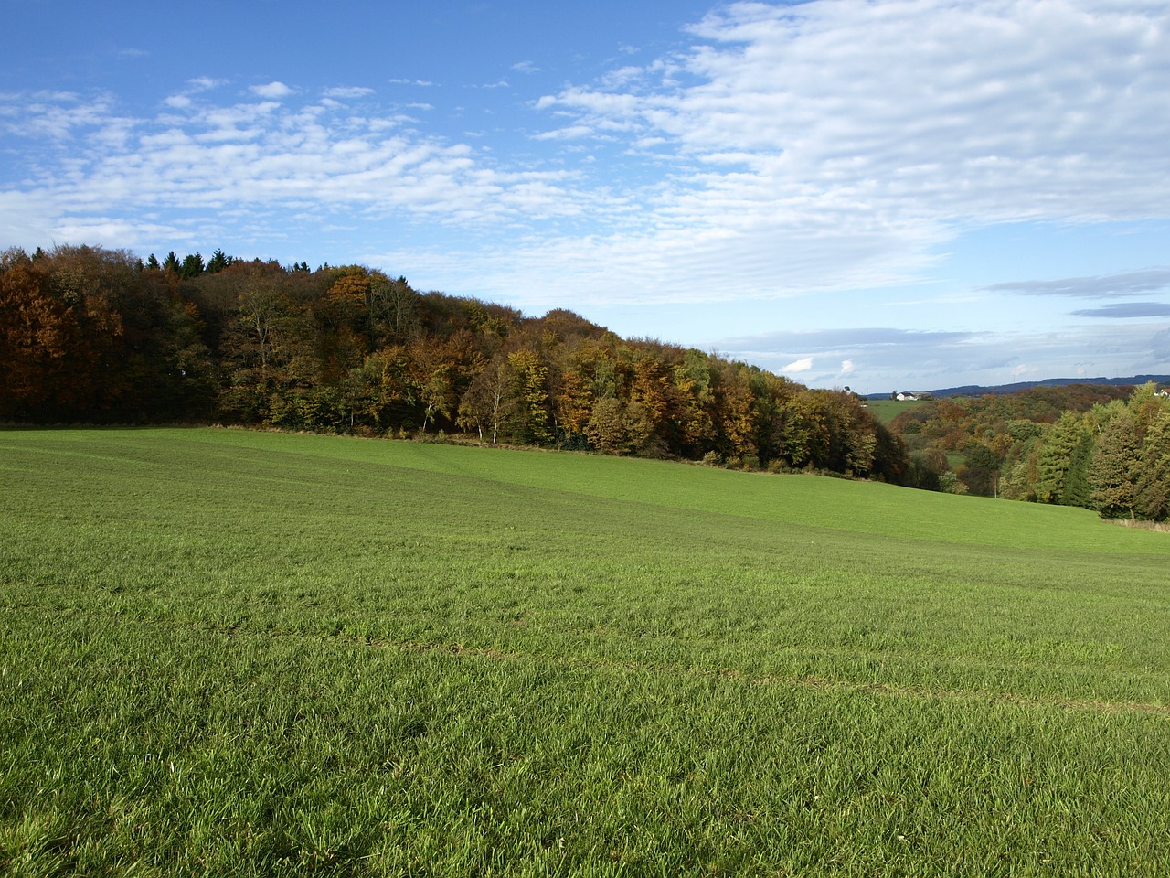 autumn day rays light free photo