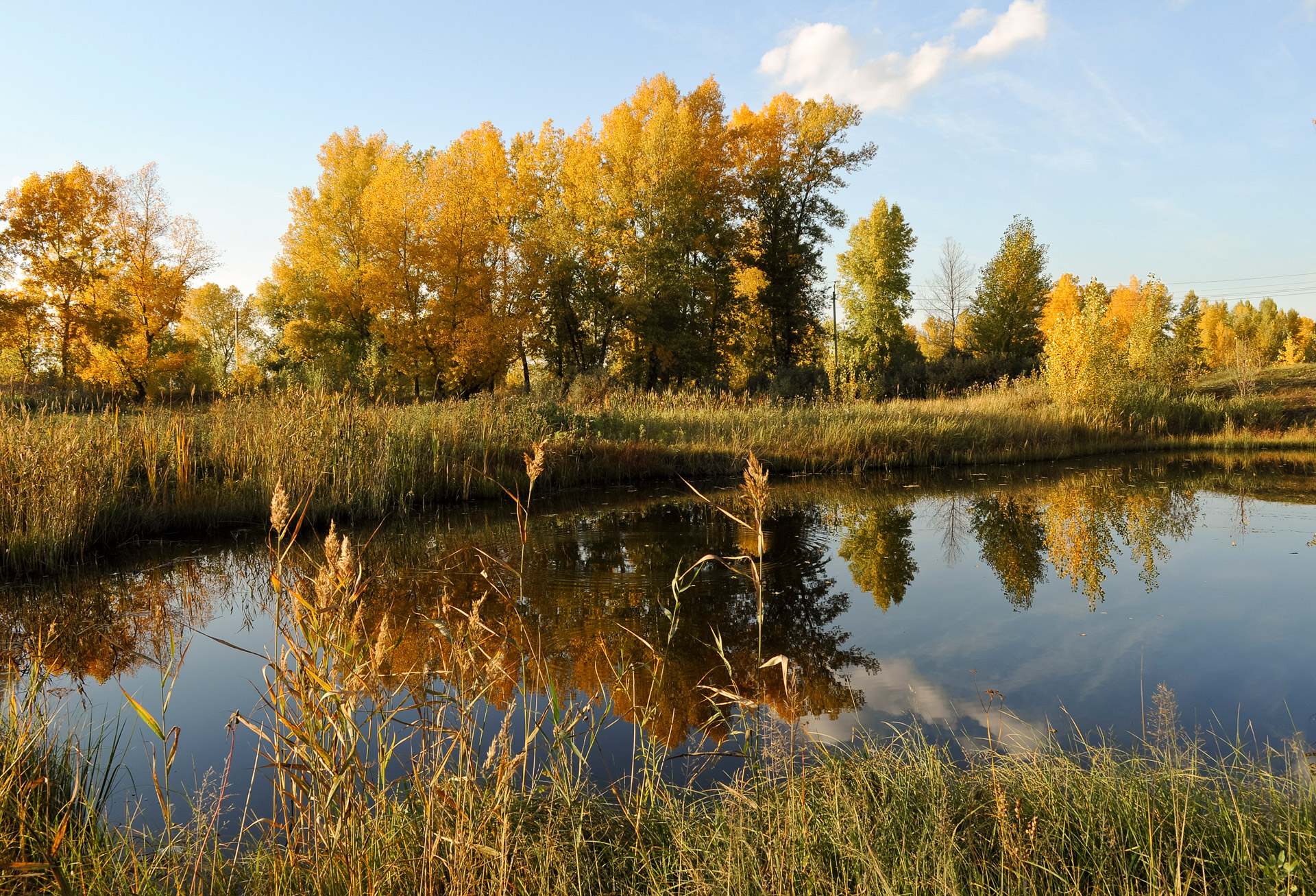 autumn river landscape free photo