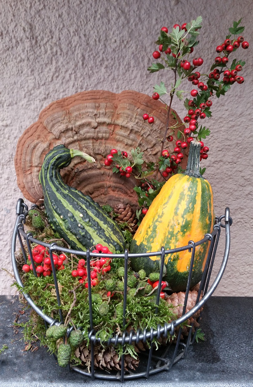 autumn decoration pumpkins mushrooms free photo