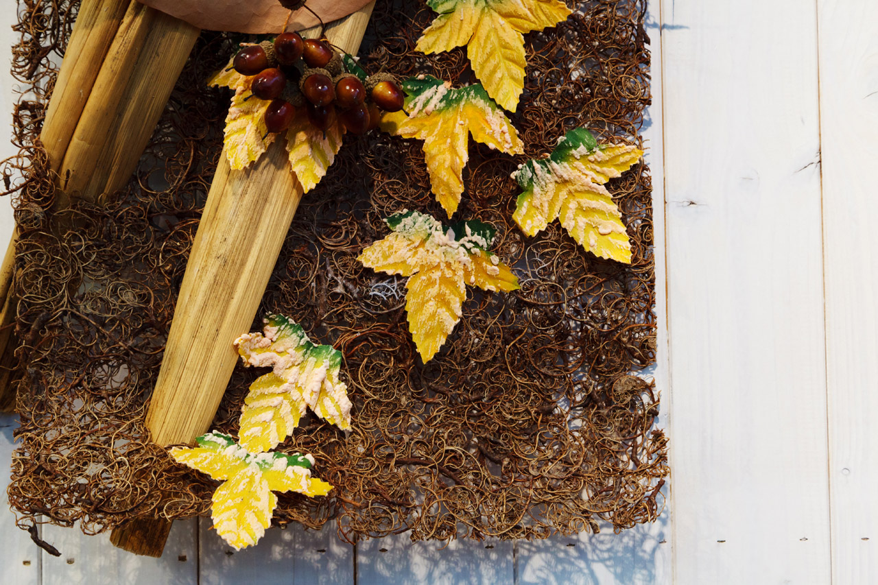 autumn brown color free photo