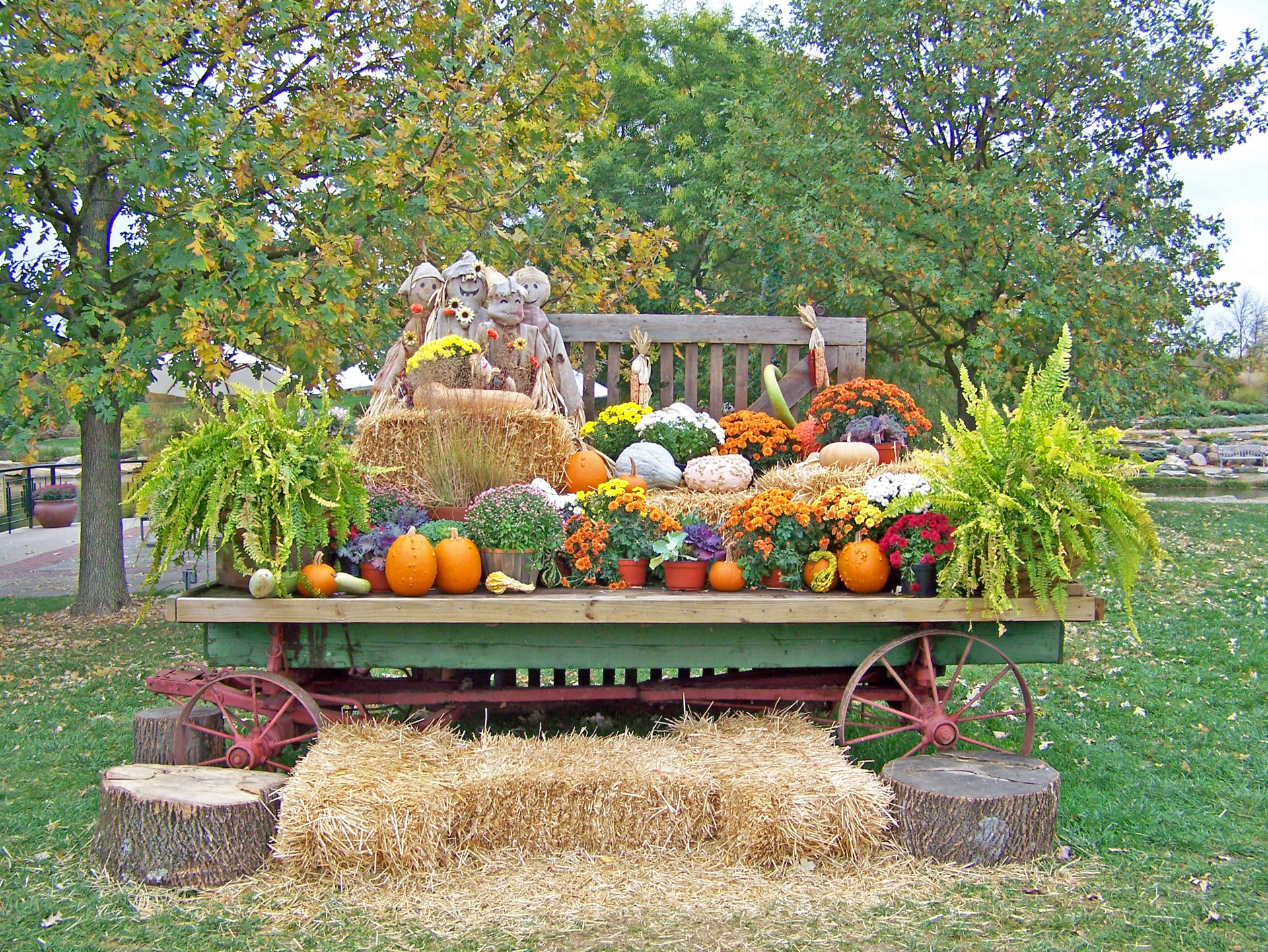 autumn fall wagon free photo