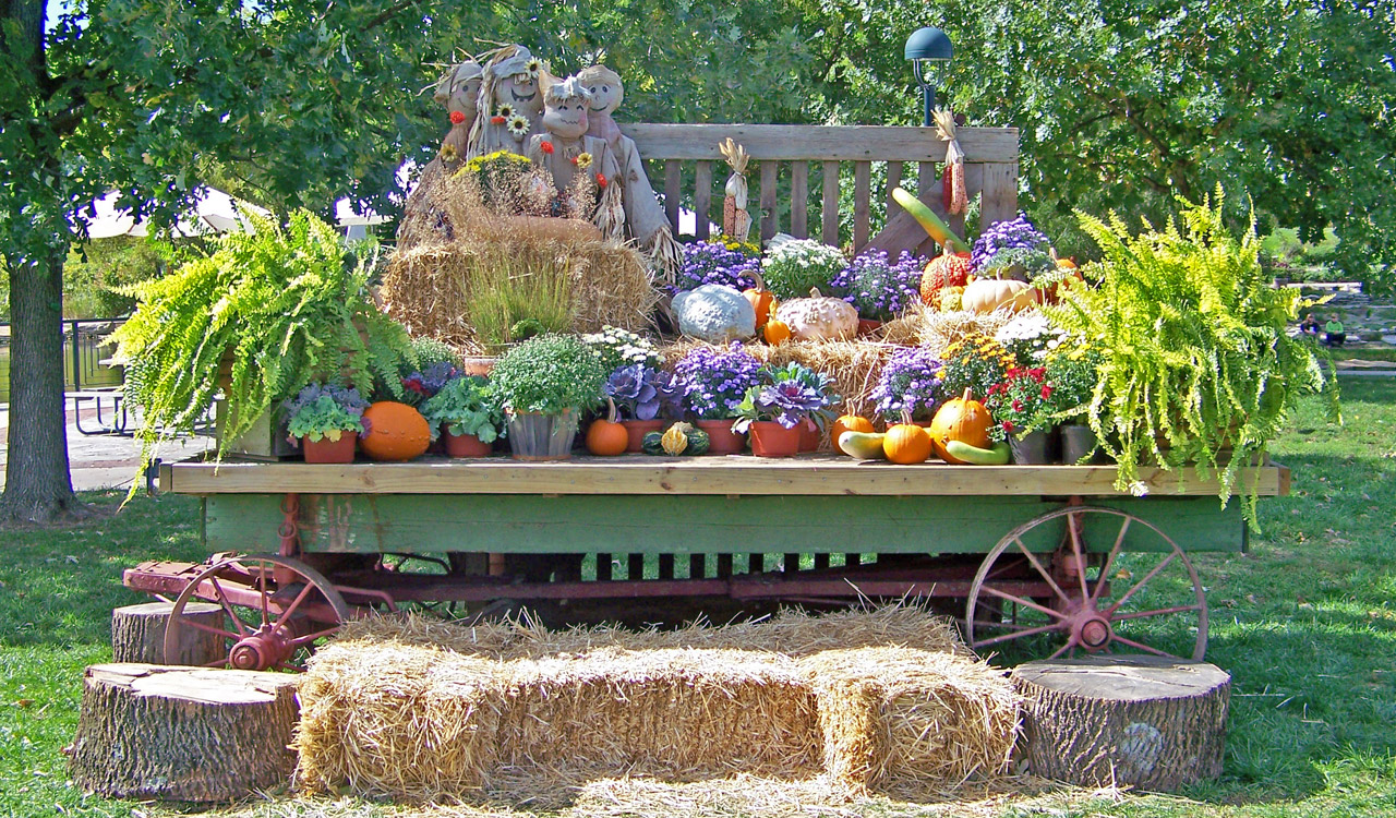 autumn fall wagon free photo