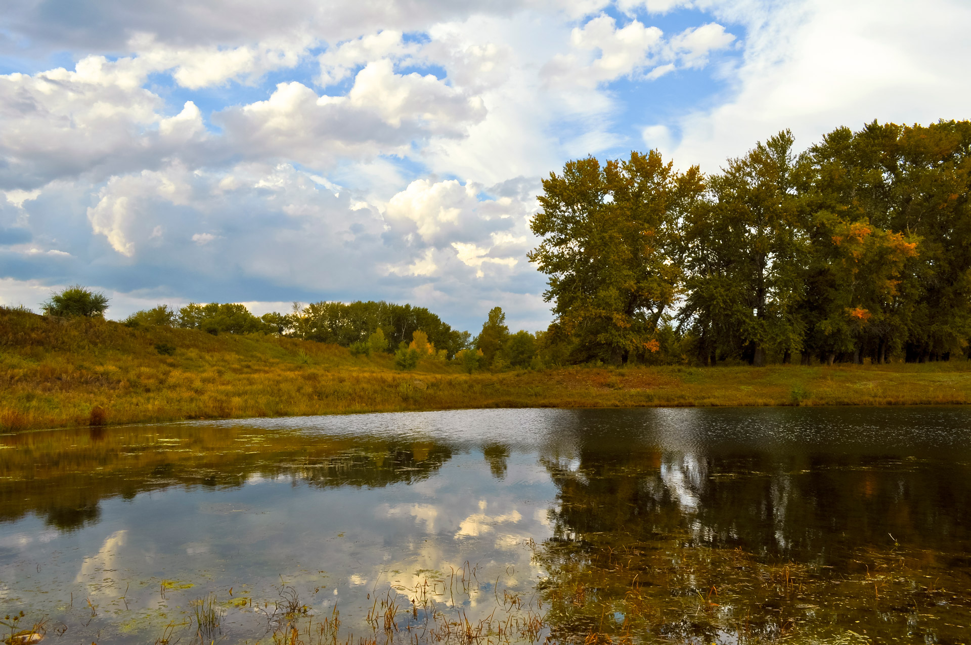 autumn landscape pond free photo
