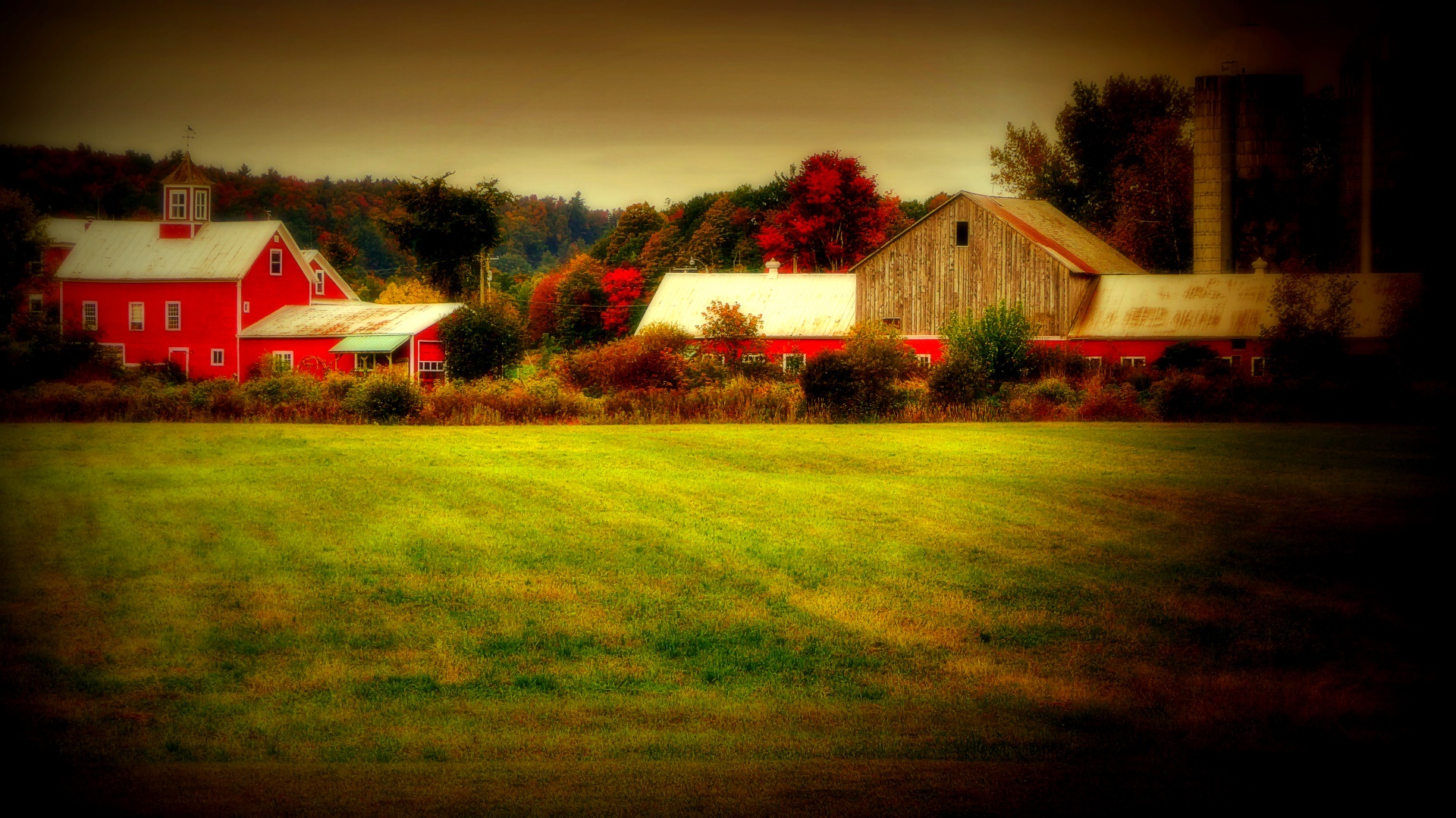 fall autumn farm free photo