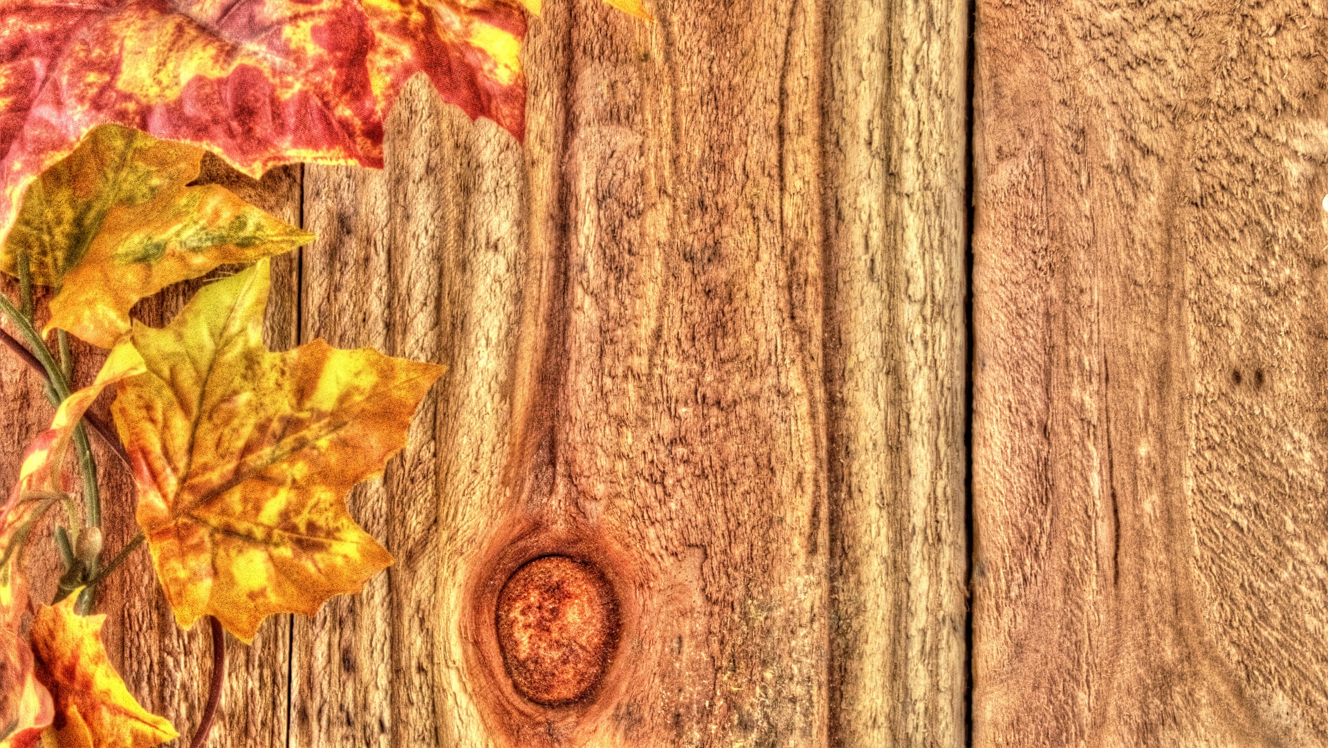 background wallpaper leaves free photo