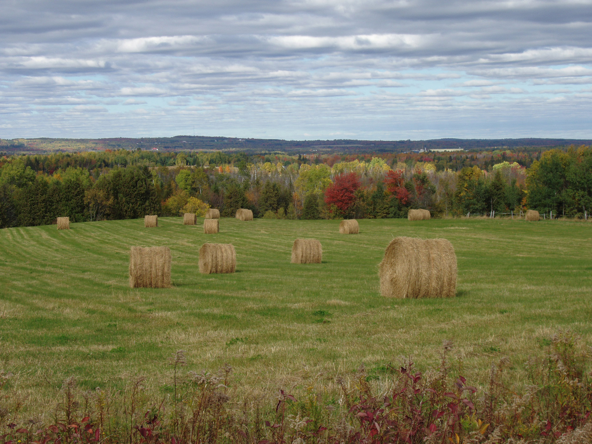 Осеннее сено. Осеннее поле. Поле осенью. Убранное поле. Осенне убранное поле.