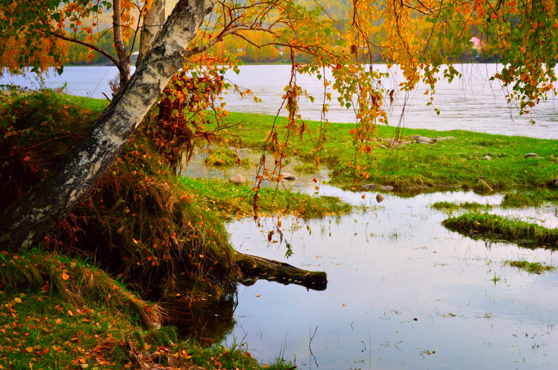 autumn landscape forest free photo