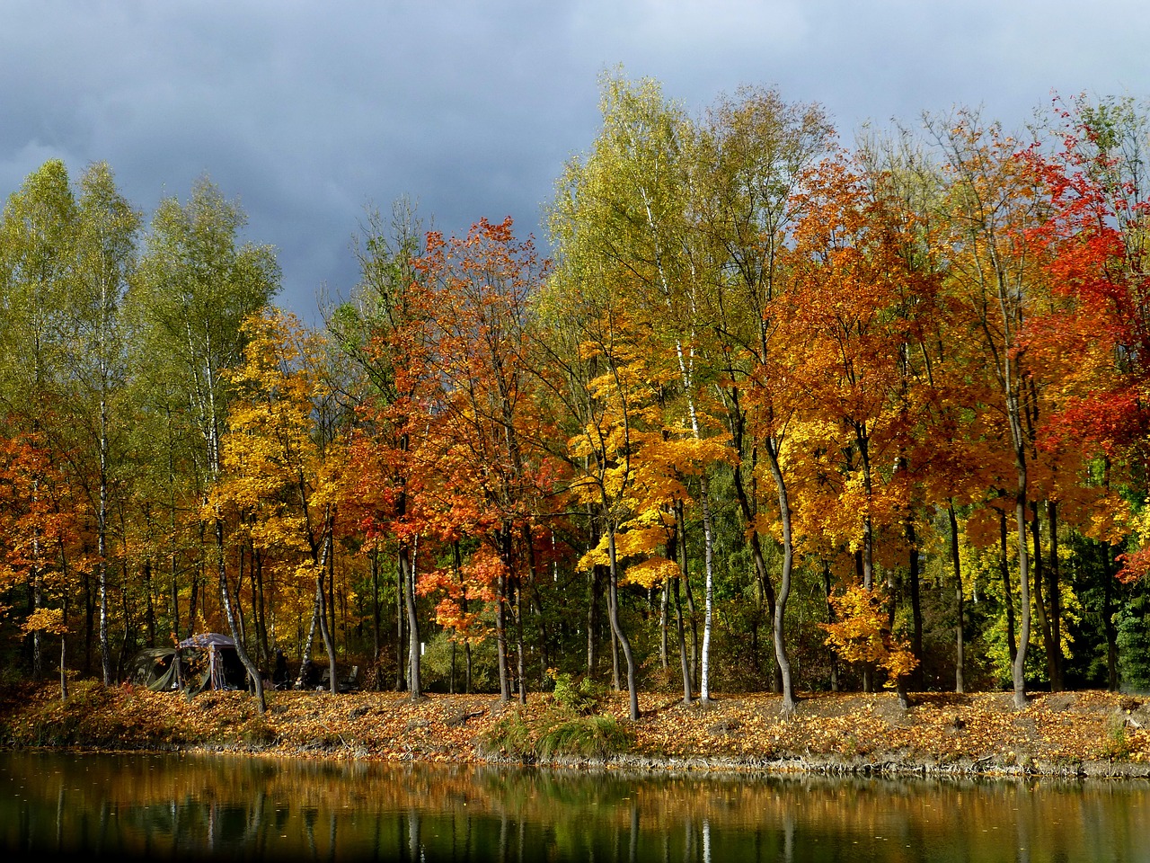 Осень настоящая лес