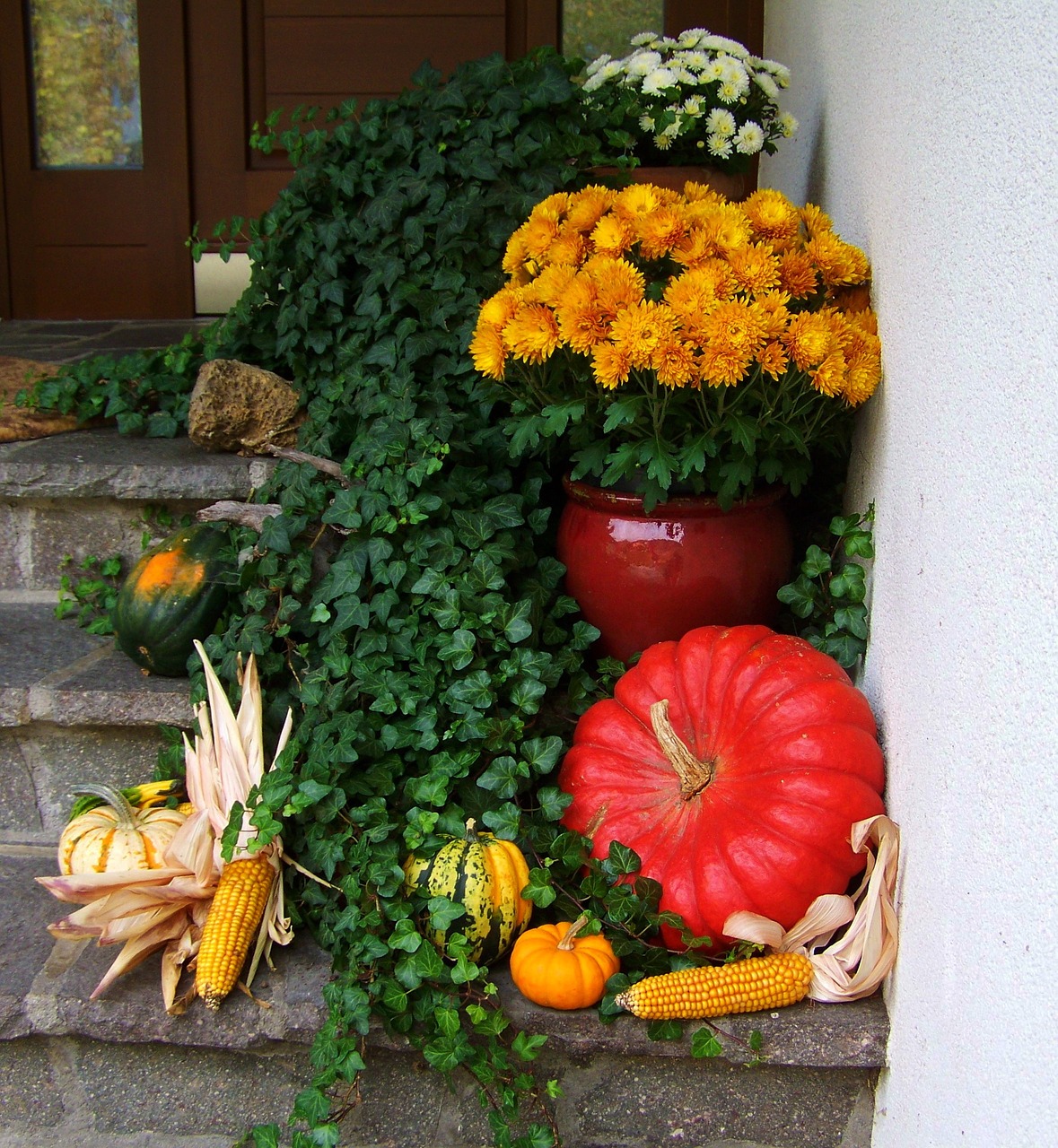 autumn fruits corn pumpkin free photo