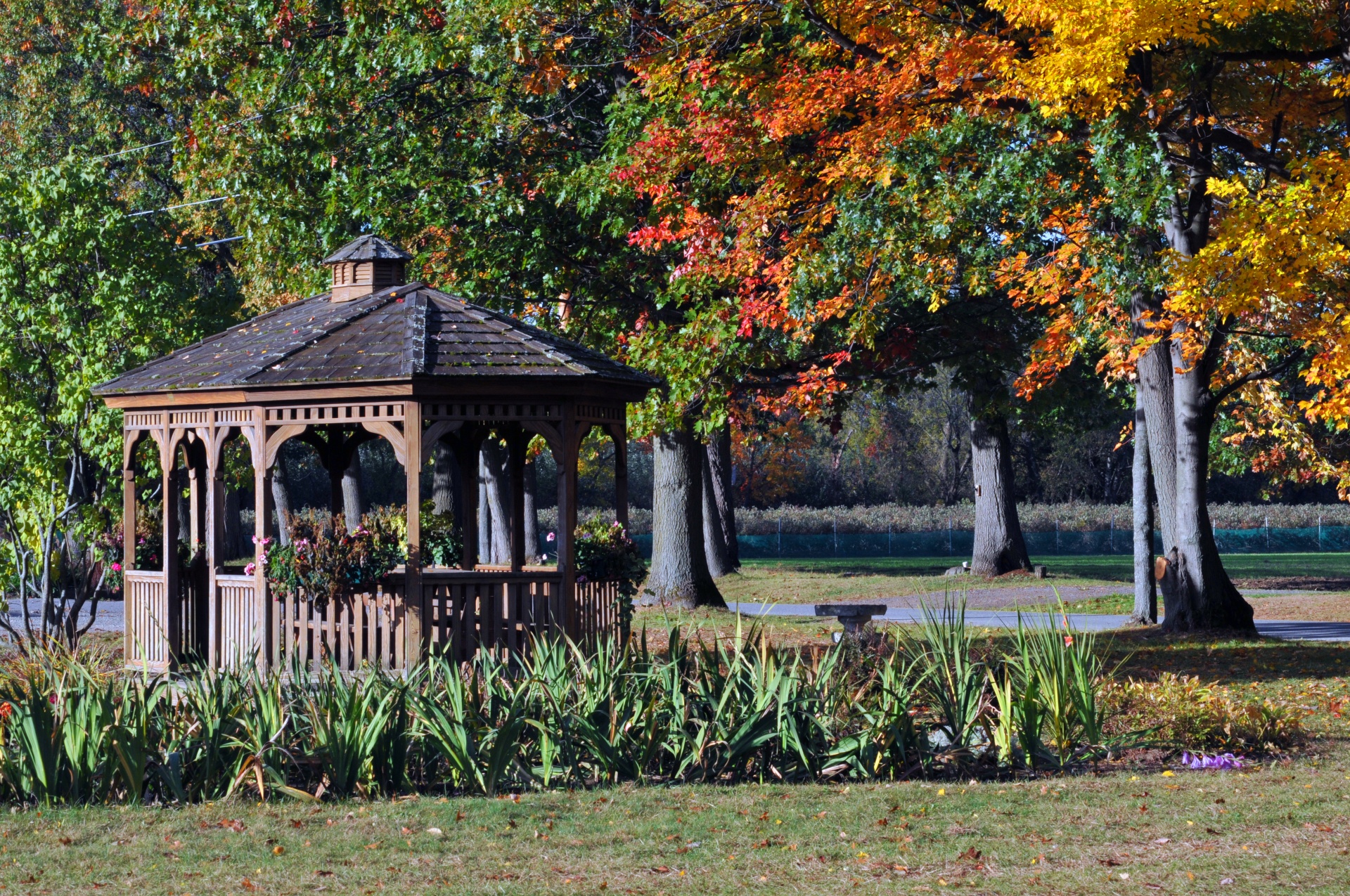 gazebo fall autumn free photo