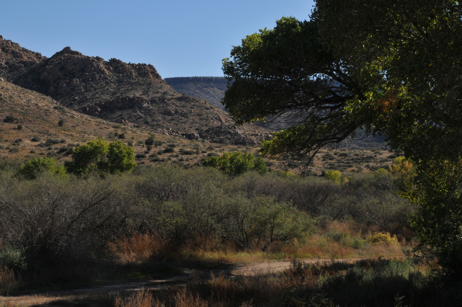 desert desert scape landscape free photo