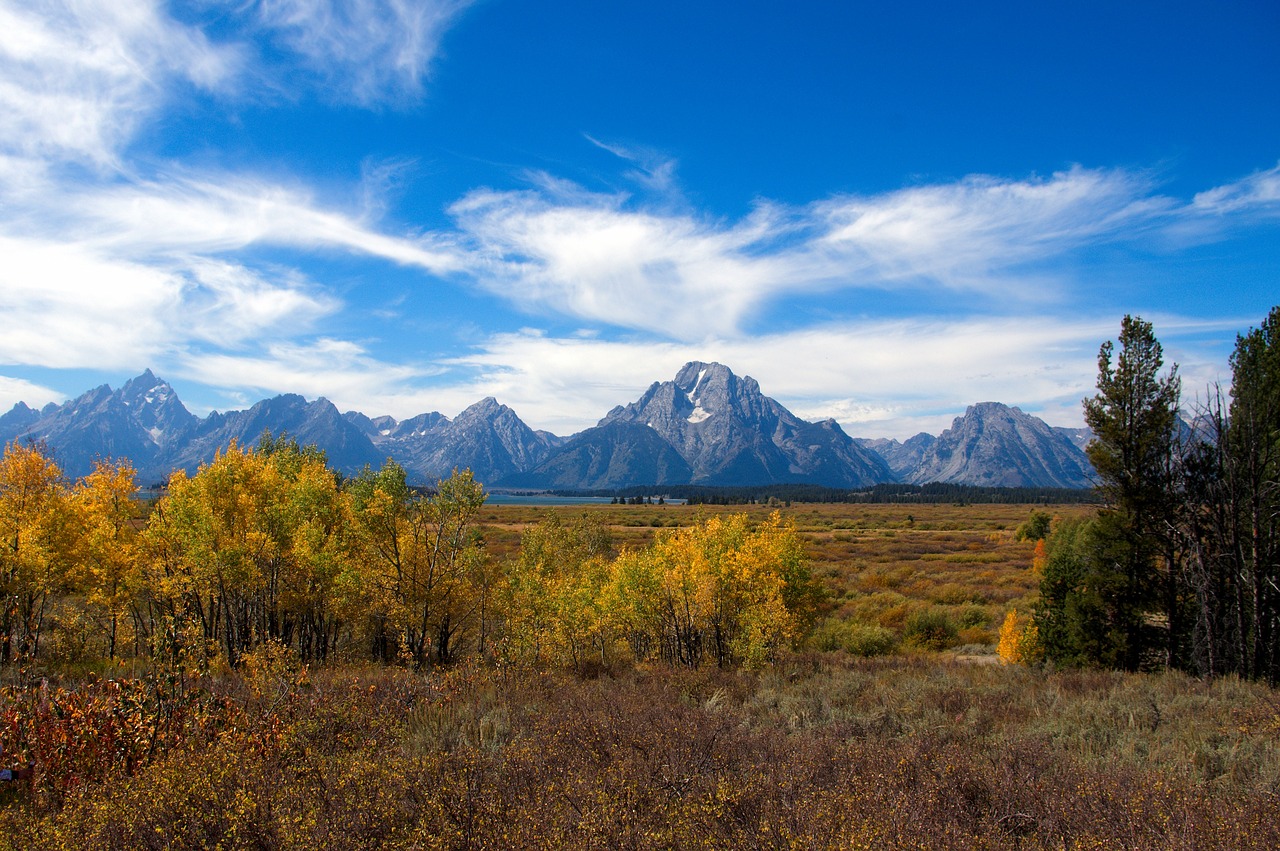 autumn in the tetons  autumn  colors free photo