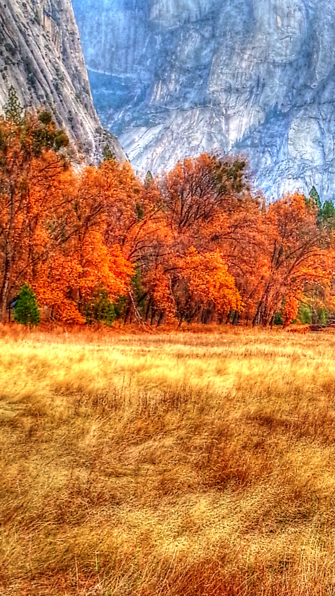 yosemite fall autumn free photo