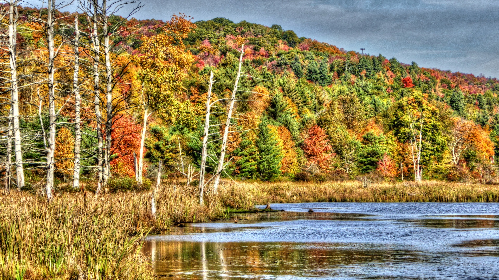 lake lakes autumn free photo