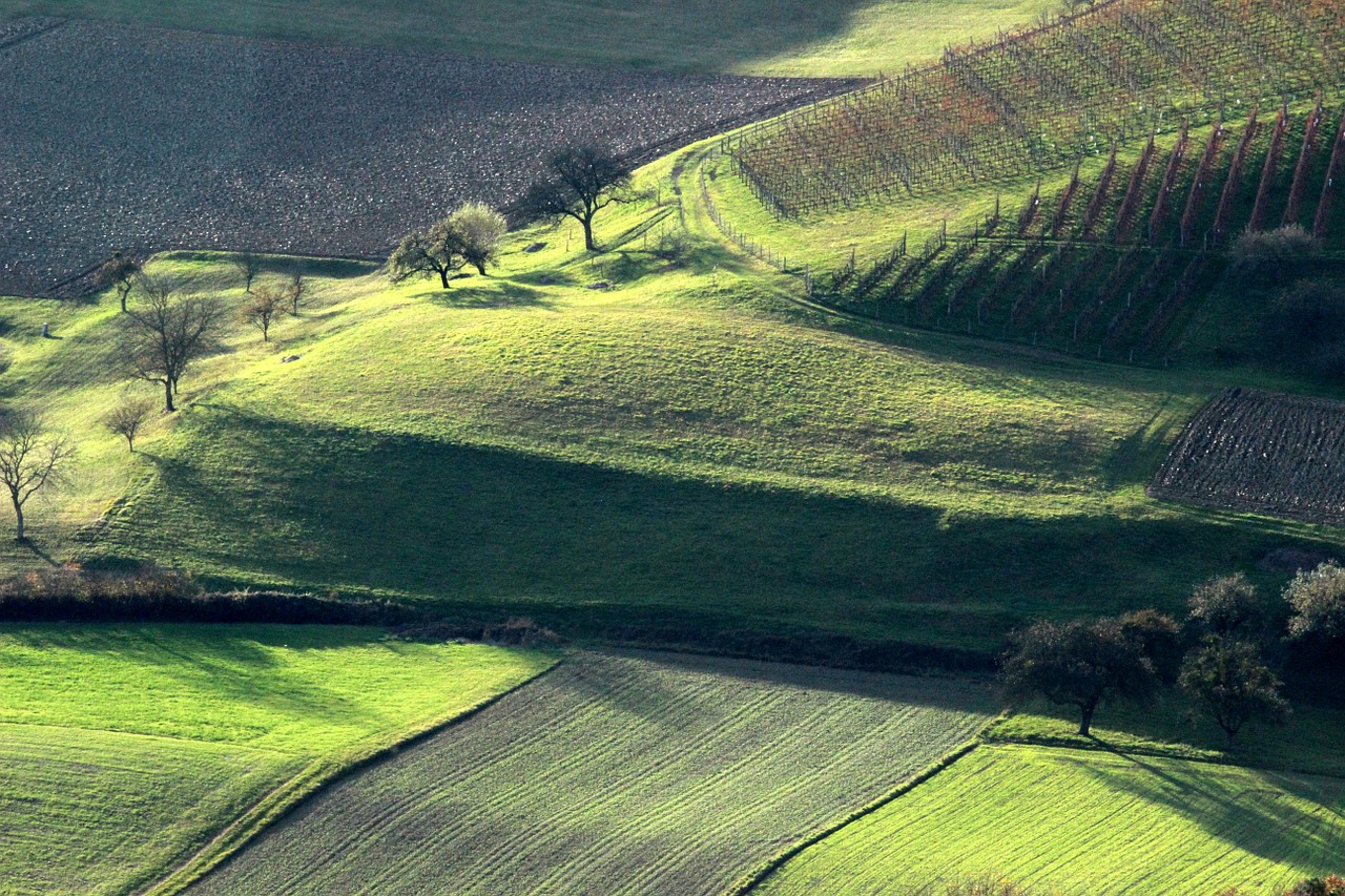 autumn landscape green autumn free photo