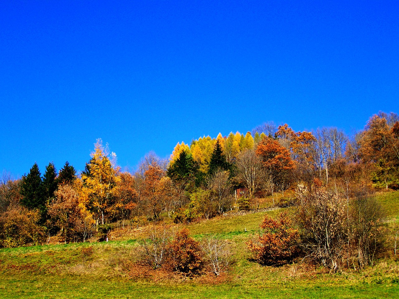 autumn landscape blue sky autumn colors free photo