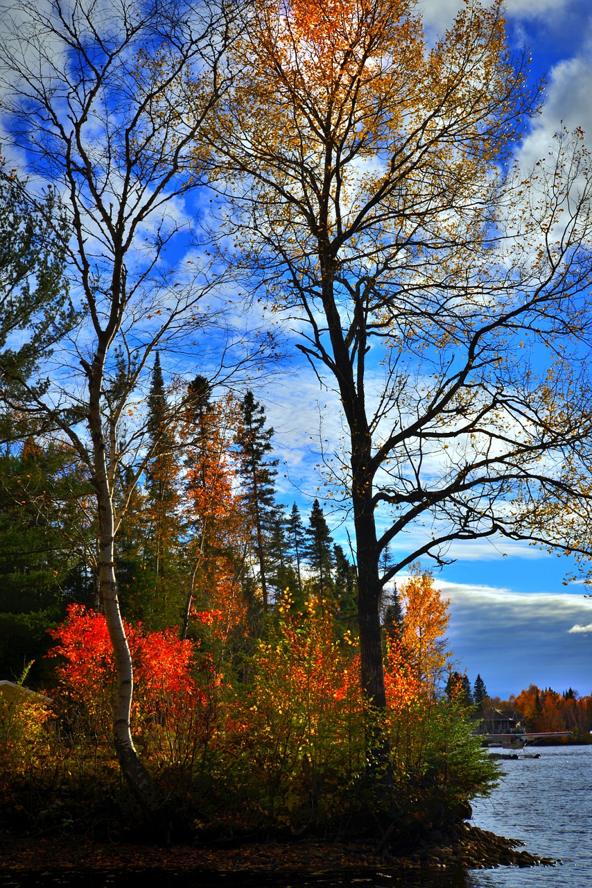 autumn landscape fall colors free photo