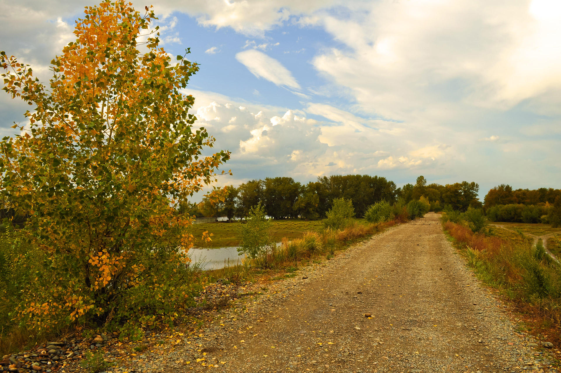 landscape nature fall free photo