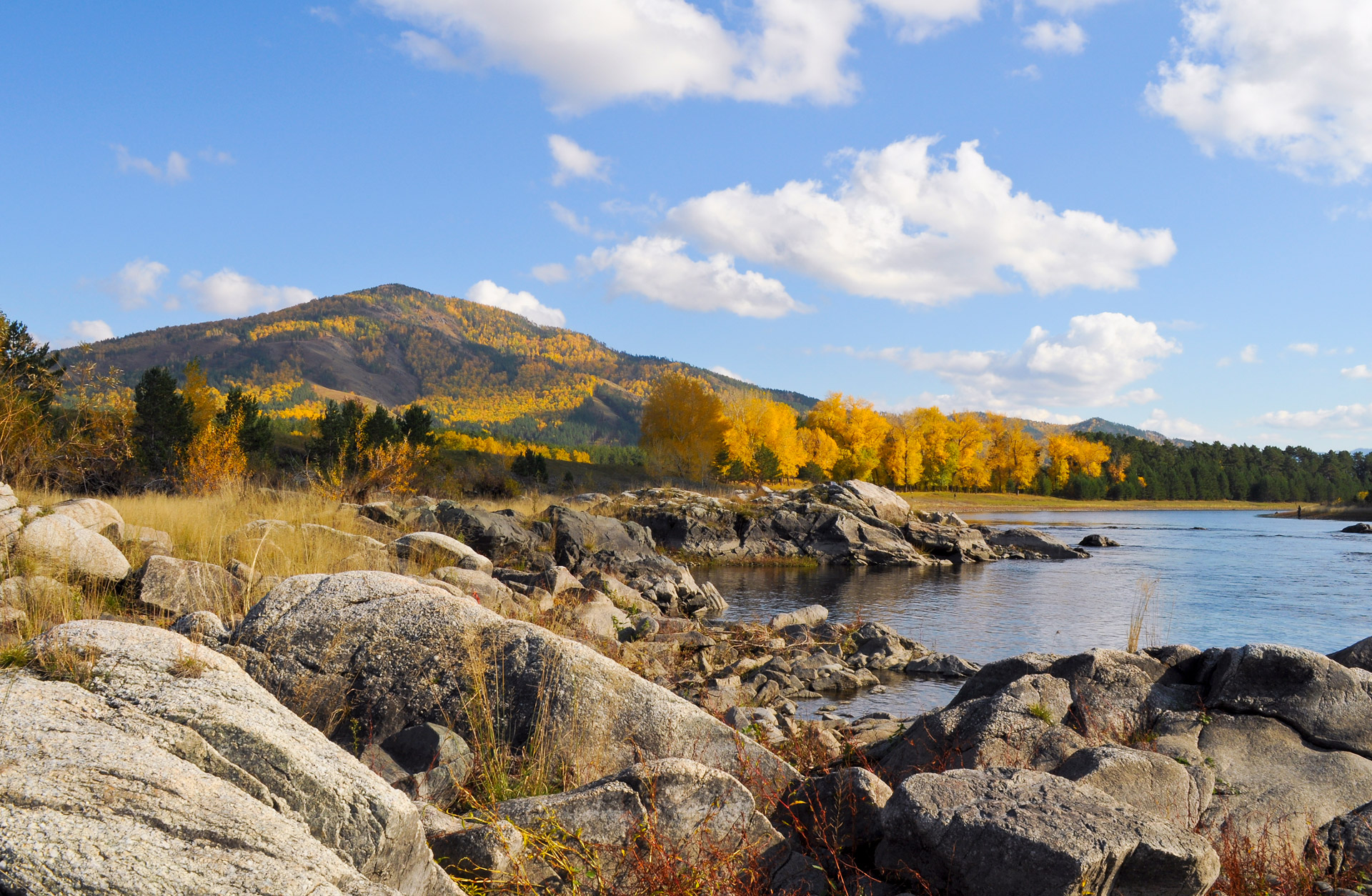 fall rocks forest free photo