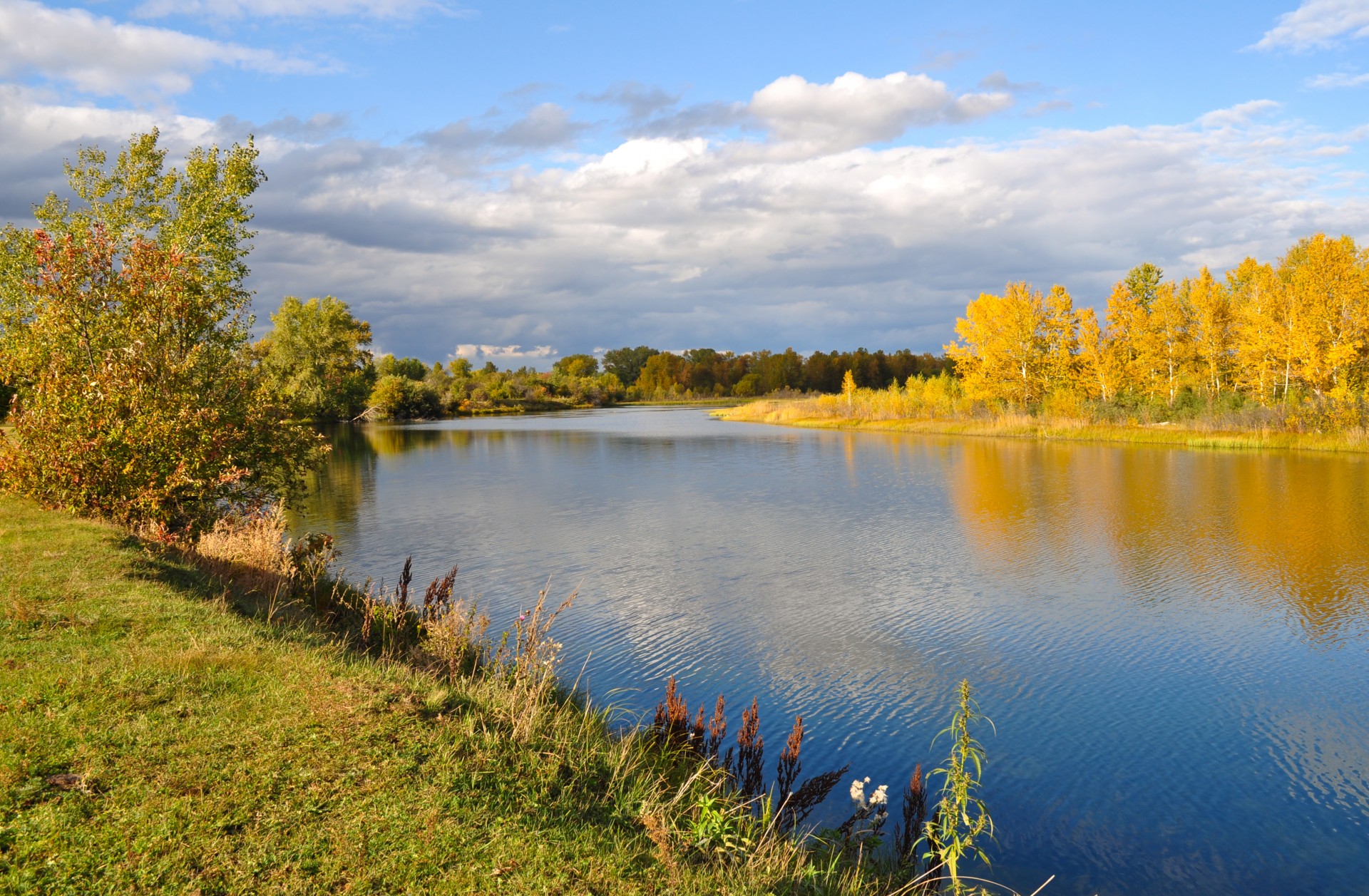 autumn landscape nature free photo