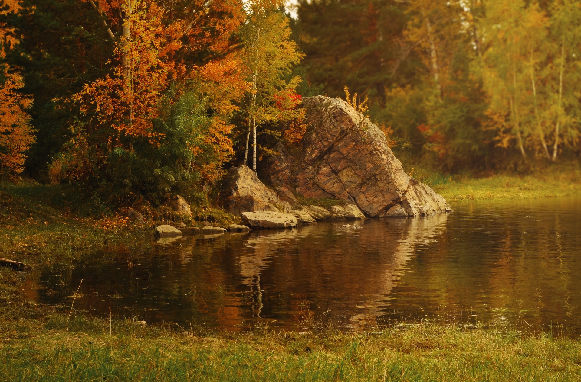 forest landscape autumn free photo