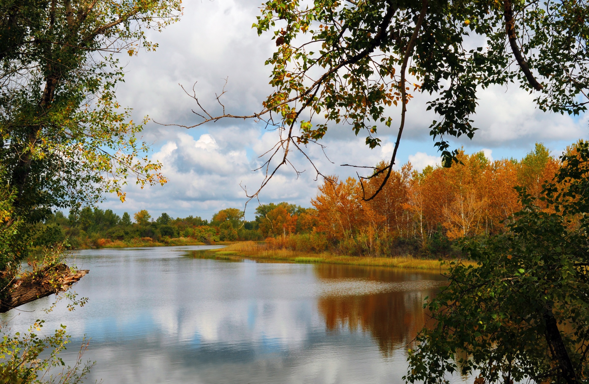 autumn landscape nature free photo