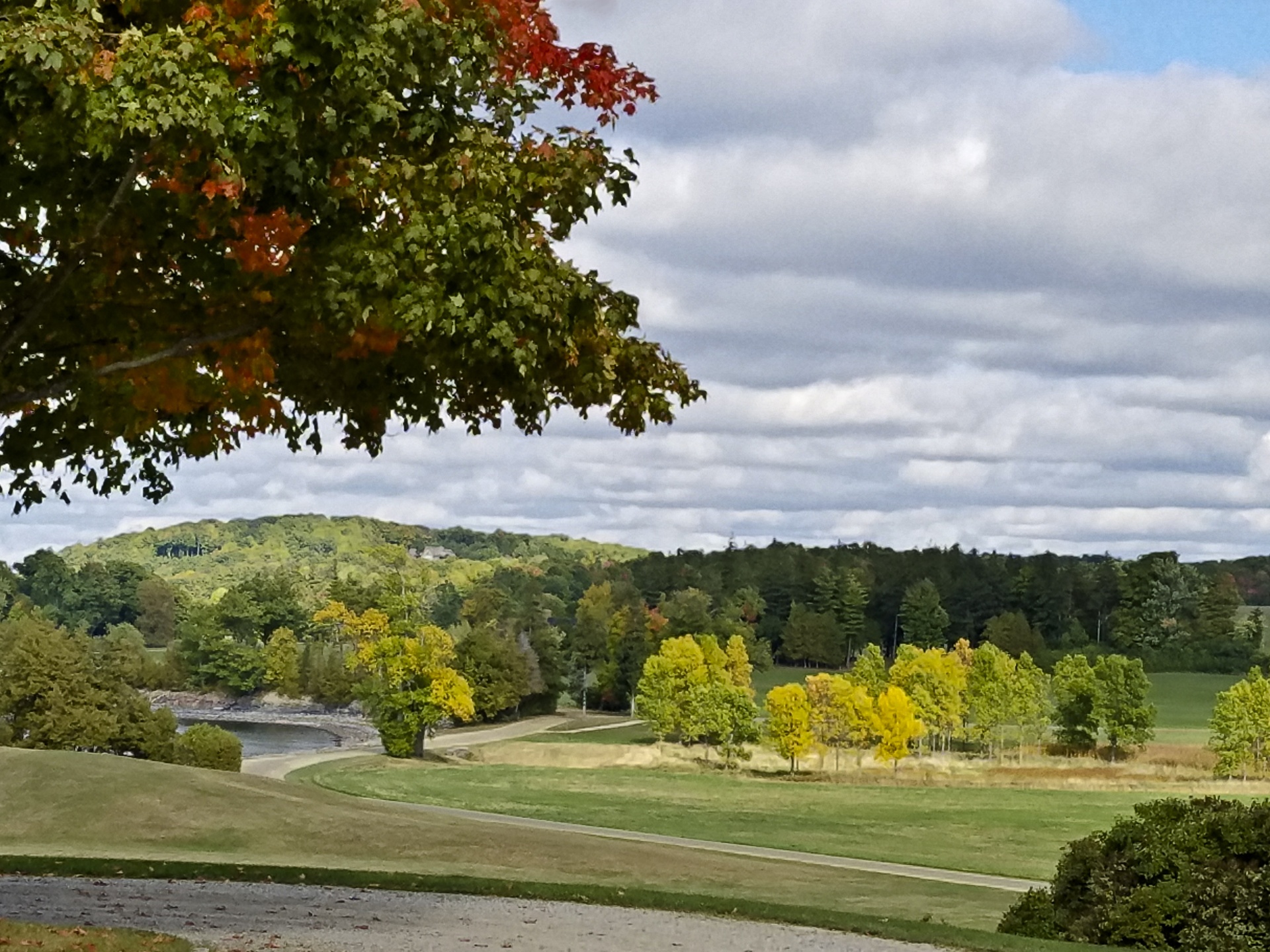 autumn fall new england free photo