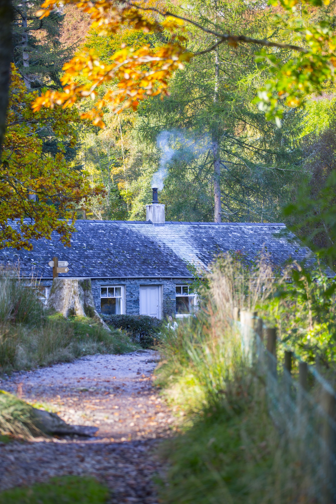 landscape lake district free photo