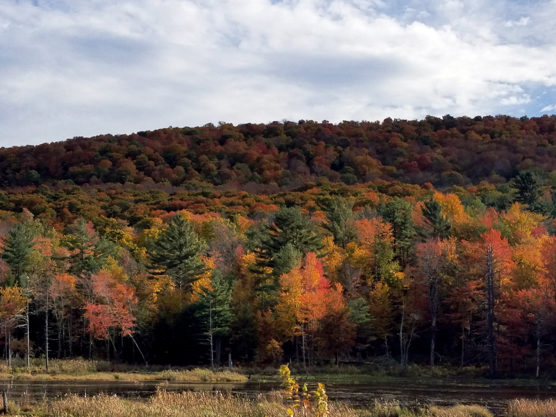 fall autumn vermont free photo