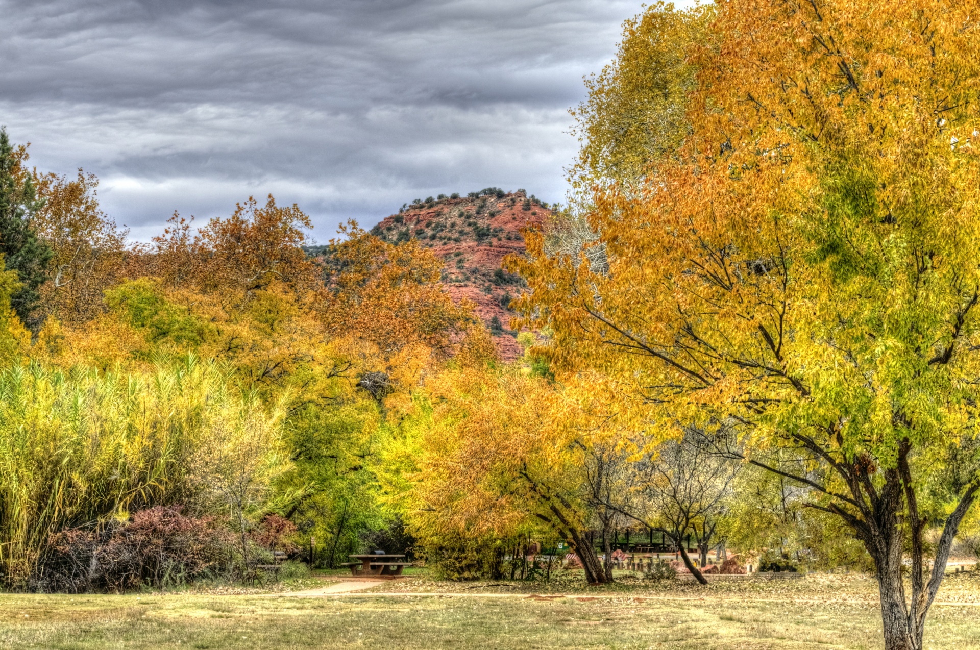 autumn fall foliage free photo