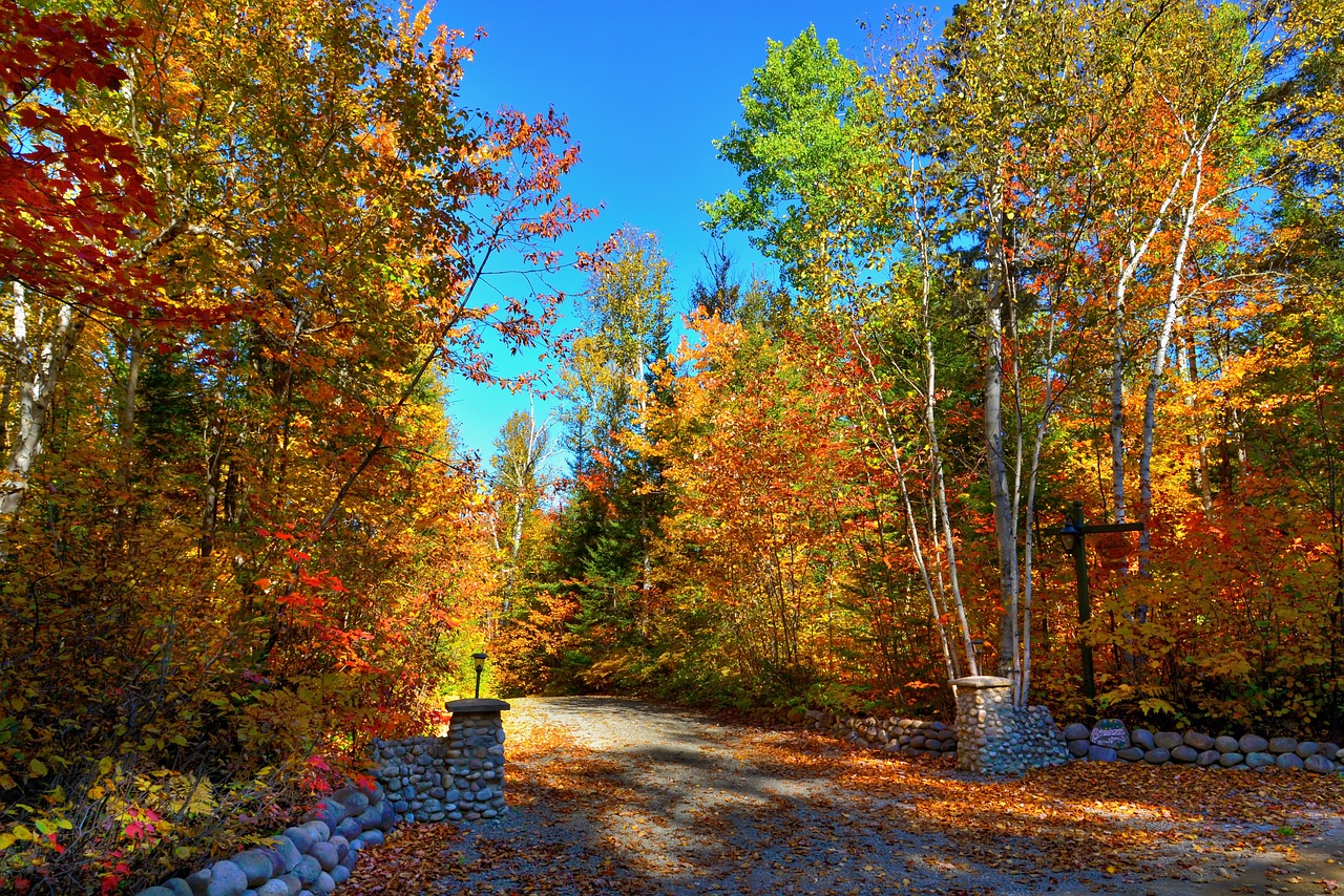 autumn landscape fall landscape free photo