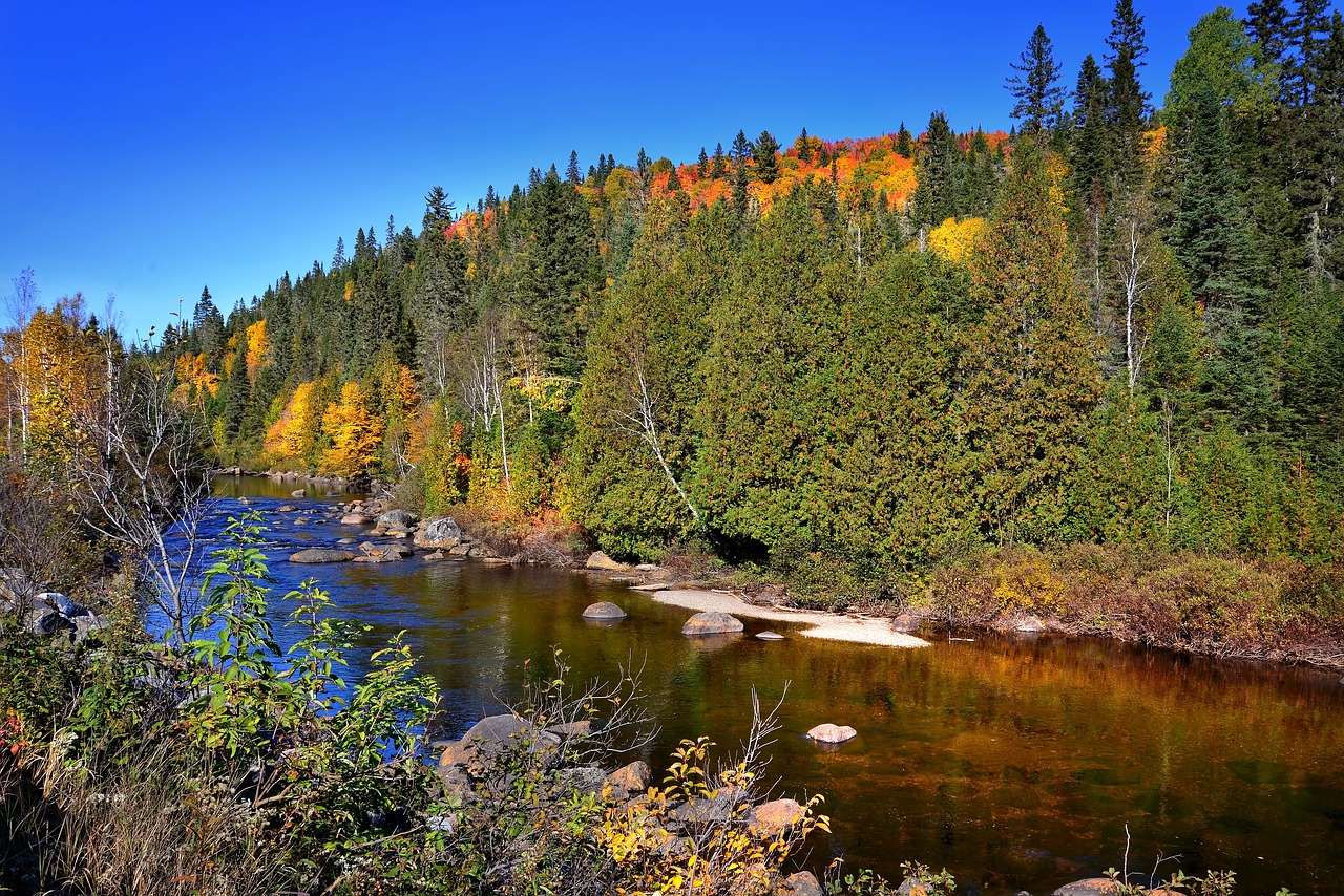 autumn landscape fall river free photo