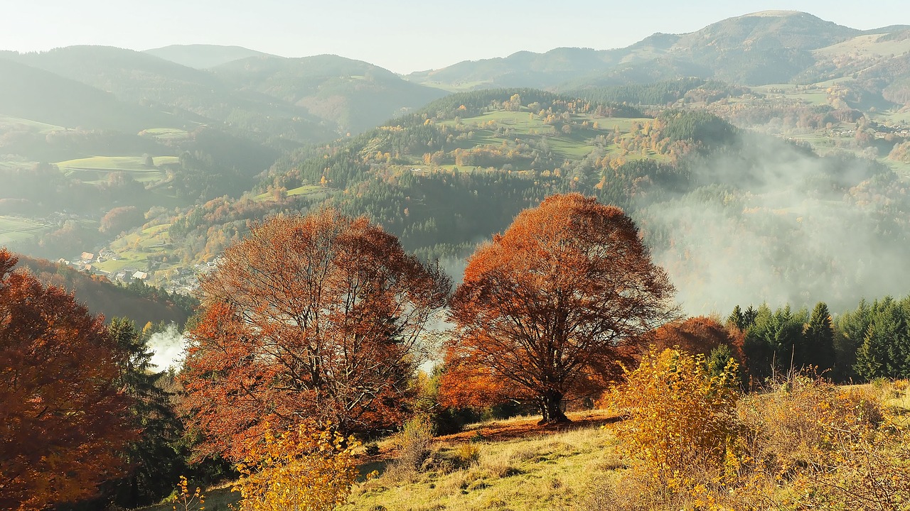 autumn landscape mountain landscape free photo