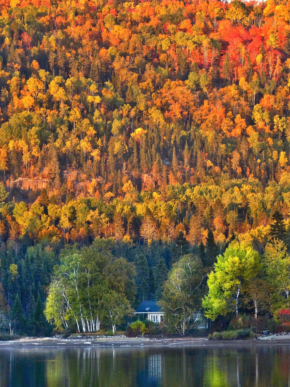 autumn landscape nature autumn leaves free photo