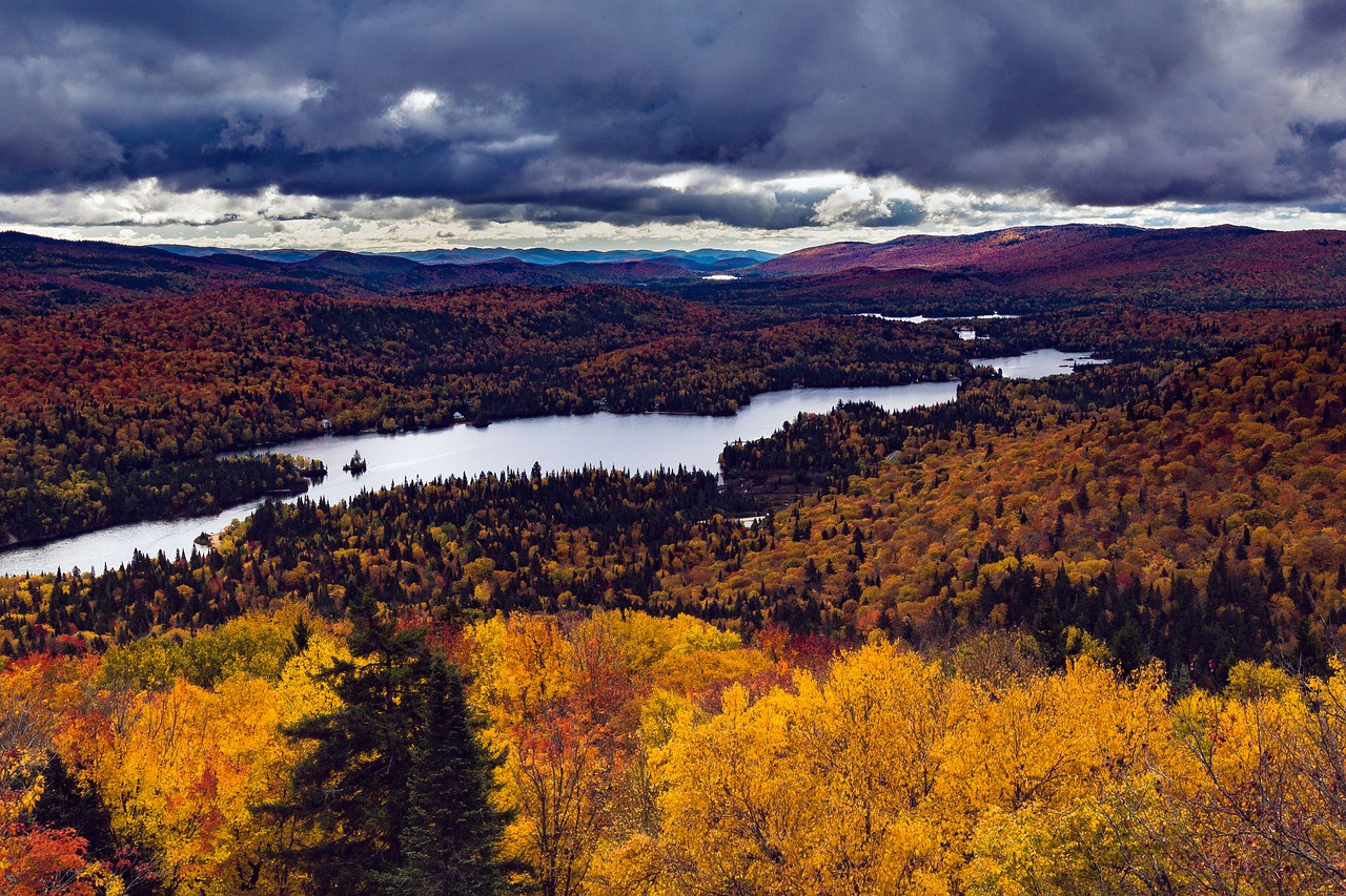 autumn landscape foliage mountain free photo