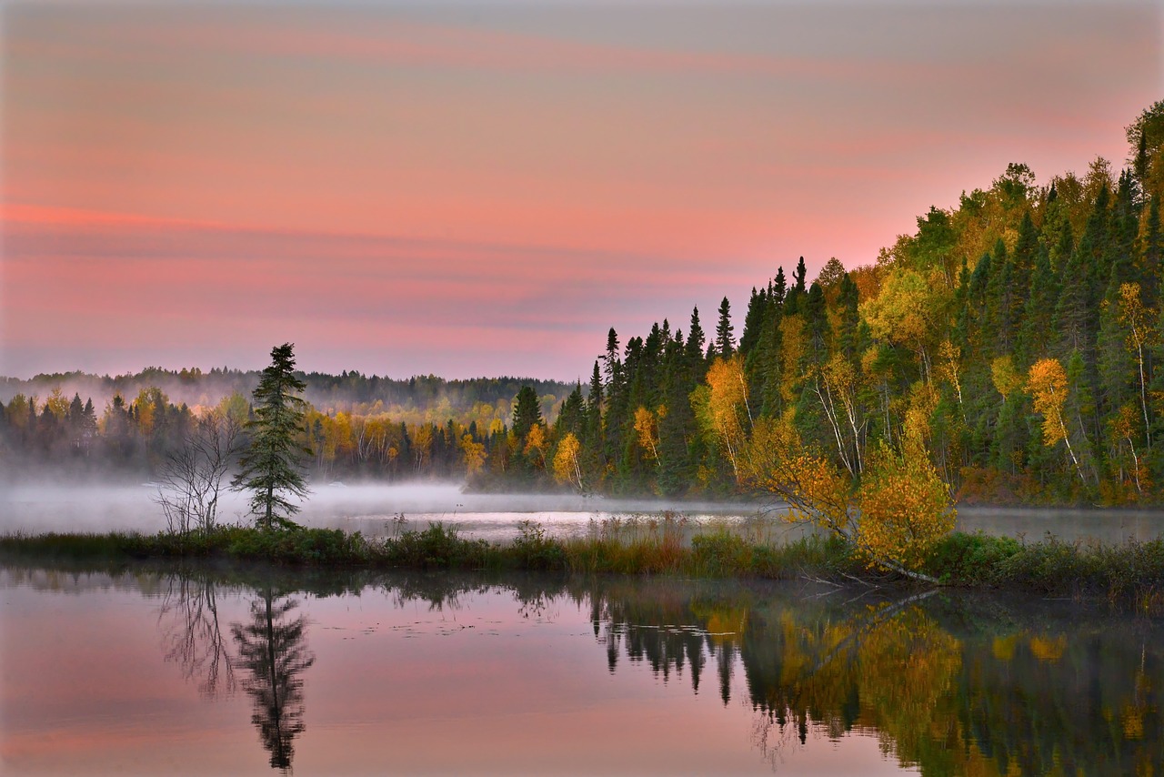 autumn landscape nature colors free photo